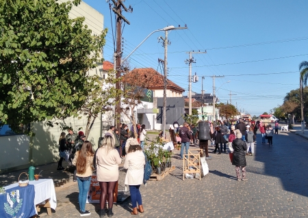 Celebração da Semana do Meio Ambiente acontece hoje  em frente a Seplama