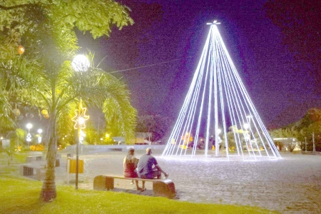 Árvore de Natal gigante ilumina a praça central  