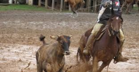 Estado anuncia liberação de atividades e provas campeiras em municípios com bandeira amarela ou laranja