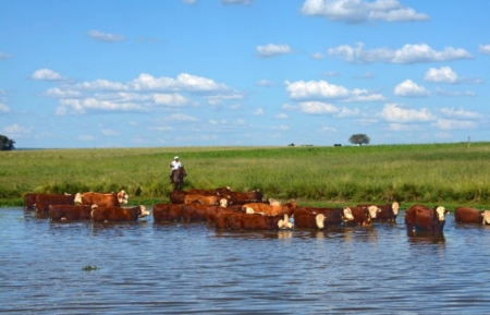 SEAPDR altera prazo para declaração anual de animais e atualização cadastral de produtores