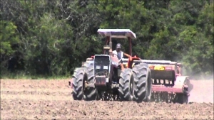 Arroz: plantio alcança 87% em São Lourenço do Sul