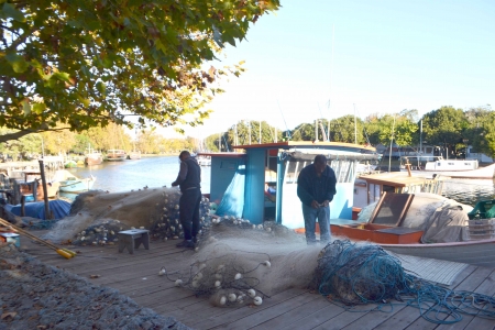 Pesca: Dia 1º de junho inicia o Defeso