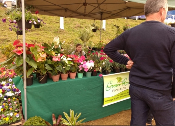 Ambulantes e artesãos lourencianos devem realizar recadastramento