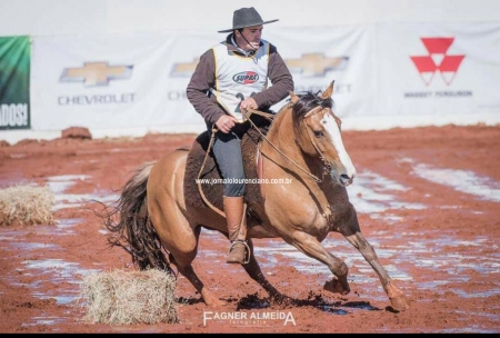 A égua Ópera do Liscano, de Diogo e Claiton Pereira foi classificada para o Freio de Ouro