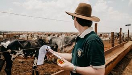Pecuaristas de Alto Feliz, em São Lourenço do Sul, recebem a expedição Confina Brasil nesta segunda-feira