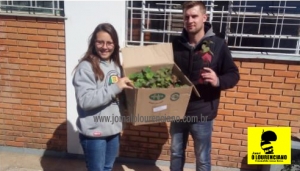 NOTÍCIAS DA EMATER/RS-ASCAR:   CAMPANHA DE MUDAS DE BATATA DOCE