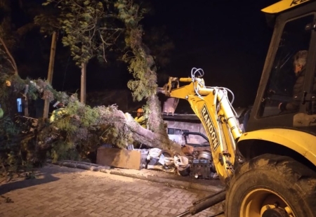 SMOU trabalha na remoção de árvore que caiu devido aos fortes ventos no bairro Lomba