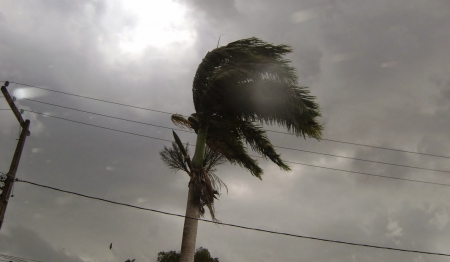 Forte vento previsto para a madrugada desta quarta-feira não causou danos de grandes proporções em SLS