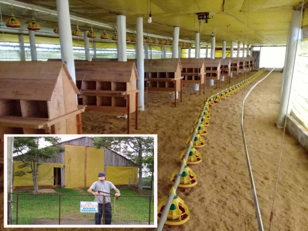 Mais uma da Granja de Postura Comercial é liberda em São Lourenço do Sul