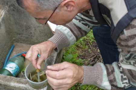 Navegantes recebe mais um mutirão de combate ao Aedes aegypti  