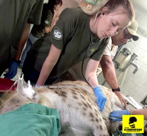 A Médica Veterinária lourenciana Lilian Karnopp realizou curso de capacitação no Perú