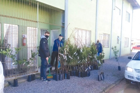Sindicato traz encomendas de mudas para os produtores 