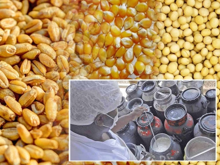 EMATER:  A produção de leite, tabaco e grãos em meio à estiagem e ao Covid-19