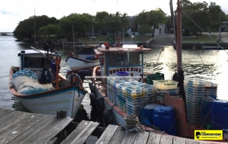 Safra da tainha está boa - Expectativa do camarão também