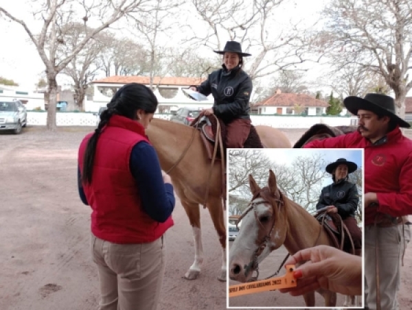 Colocação das pulseiras dos cavalos e liberação de documentação iniciam nesta sexta-feira (15)