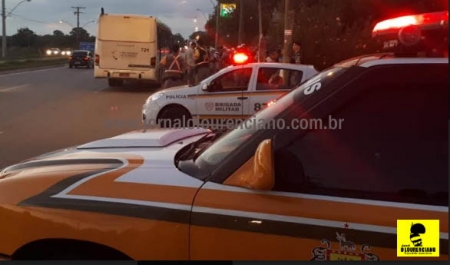 2º BRBM intensificou suas ações na Operação Golfinho Litoral Sul e Costa Doce