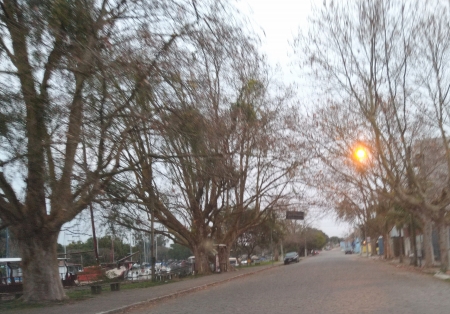 Dia amanheceu cinza mas sol deve aparecer nesta segunda-feira em São Lourenço do Sul