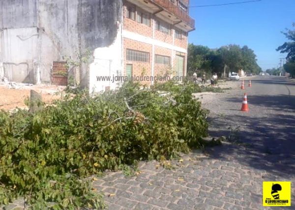 Árvores retiradas do antigo Engenho Talismã tinham autorização da Seplama