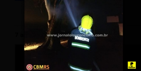Corpo de Bombeiros recebeu chamado para atendimento de incêndio em árvore