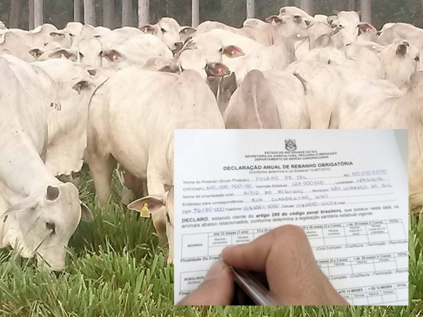 PRAZO PARA ENTREGA DA DECLARAÇÃO ANUAL DE REBANHO ENCERRA DIA 30 DE ABRIL