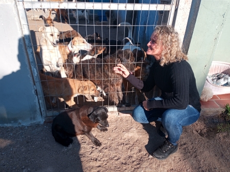 Vereadora Fabiane (PSB) propõe criação da Semana Municipal de Combate aos maus tratos e abandono de animais
