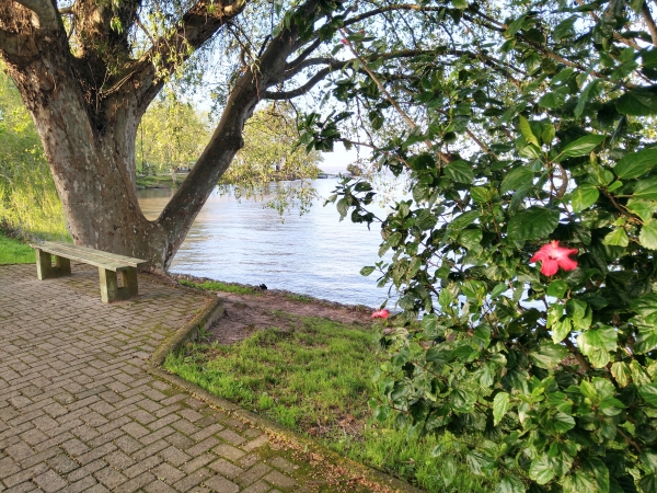 Primeiro dia da Primavera inicia com sol em São Lourenço do Sul