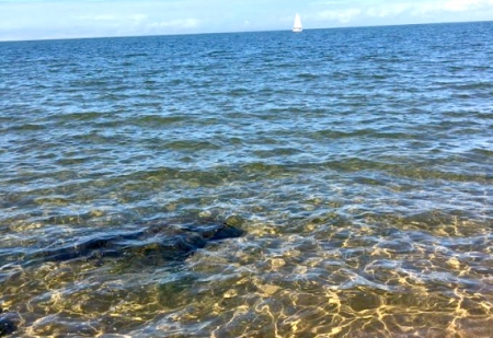 Em tempos de Coronavírus, lagoa dá show a parte em São Lourenço do Sul - #fique em casa se puder