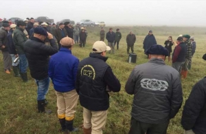 dia de campo sao lourenço do sul