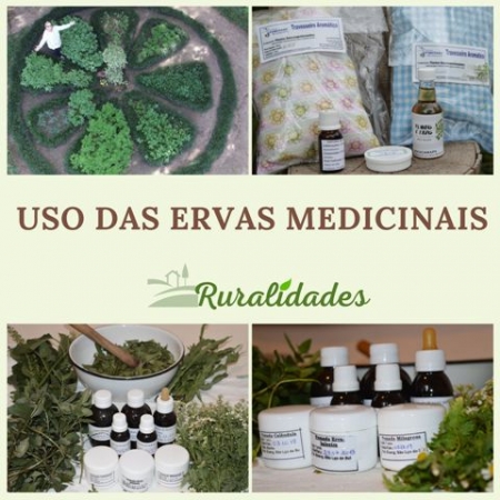 As mulheres pomeranas e o uso das ervas medicinais