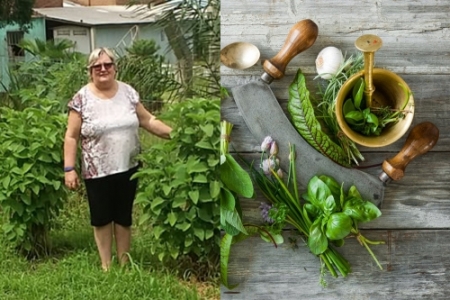 Plantas medicinais são tema de oficinas nas praias