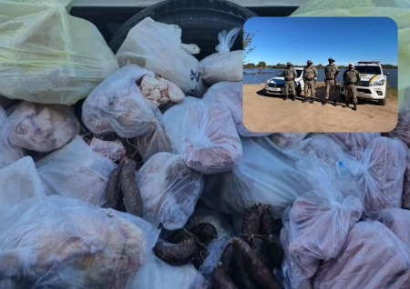 CRPO Sul deflagra 16° edição da Operação Avante Combate ao Abigeato em São Lourenço e outras cidades da região sul