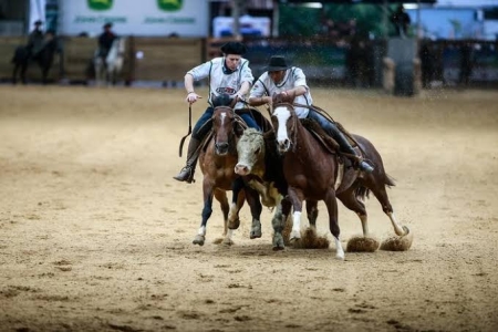 Freio de Ouro tem campeões inéditos na 46ª Expointer