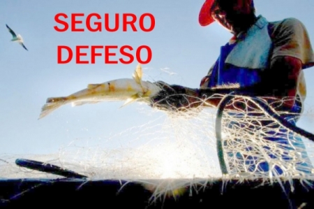 Período de Defeso deve ir até dia 30 de setembro