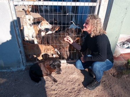 PROJETO DE LEI CADASTRO DE LARES TEMPORÁRIOS PARA ANIMAIS ABANDONADOS É PROTOCOLADO PELA VEREADORA FABIANE