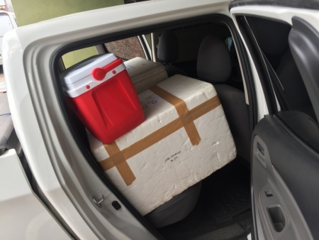 Mais 550 doses chegaram à São Lourenço nesta quinta-feira - 754 pessoas já foram vacinadas no município