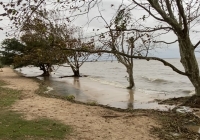 Chuvas: FURG divulga análise sobre o provável impacto do atual fenômeno em São Lourenço do Sul e Rio Grande