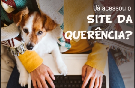 Já conferiu o site da Agropecuária Querência?