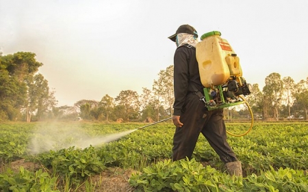 Curso de aplicação de agrotóxicos