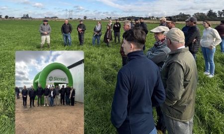Sicredi São Lourenço do Sul realizou dia de campo buscando levar alternativas de rentabilidade para os produtores rurais