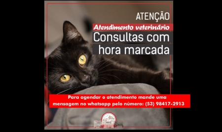 QUERÊNCIA: Seu pet precisa de atendimento, fazer o reforço de vacinas? Você pode agendar previamente