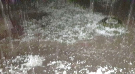 37 lavouras de fumo foram atingidas pelo granizo