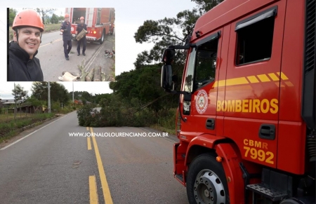 Corpo de Bombeiros retiraram árvore tombada na RS 265