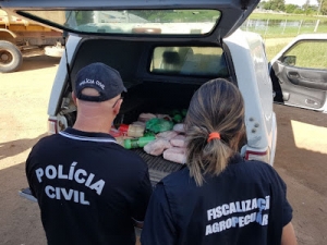 INSPETORIA E POLICIA CIVIL VERIFICAM DENUNCIA DE ABATEDOURO CLANDESTINO