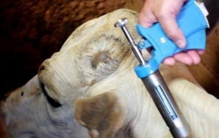 Inspetoria de Defesa Agropecuária convida para palestra sobre Aftosa