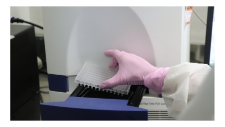 Lacen leva apenas um dia para o diagnóstico da Covid-19 em 84% dos casos