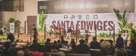 Leilão de Liquidação Total Santa Edwiges acontece em fevereiro