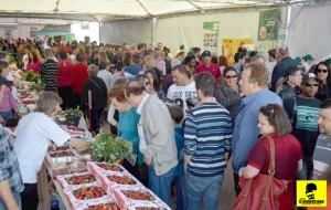 festa do morango e da pimenta turuçu