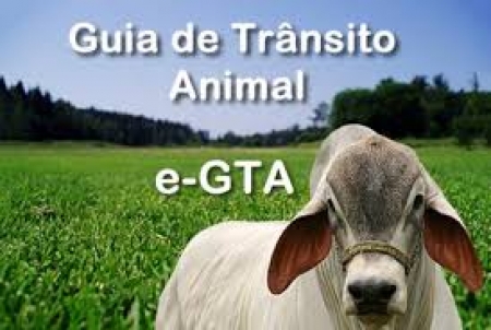 GTA -Comunicado importante aos criadores