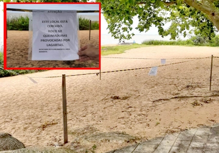 Prefeitura Municipal alerta para a época de desenvolvimento de lagartas