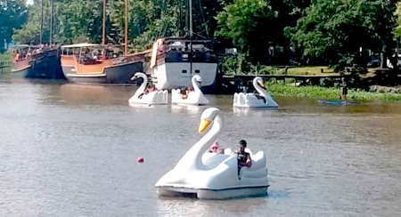 “Cisne’s da Lagoa” uma grande opção de lazer em São Lourenço do Sul